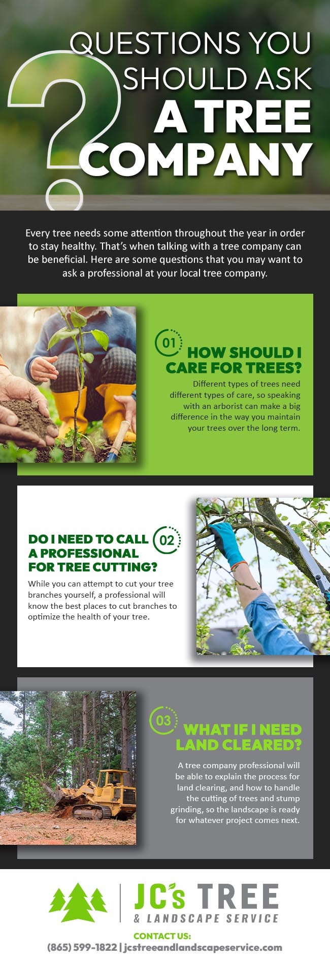 Questions You Should Ask a Tree Company