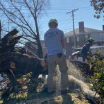 Land Clearing in Lenoir City, Tennessee
