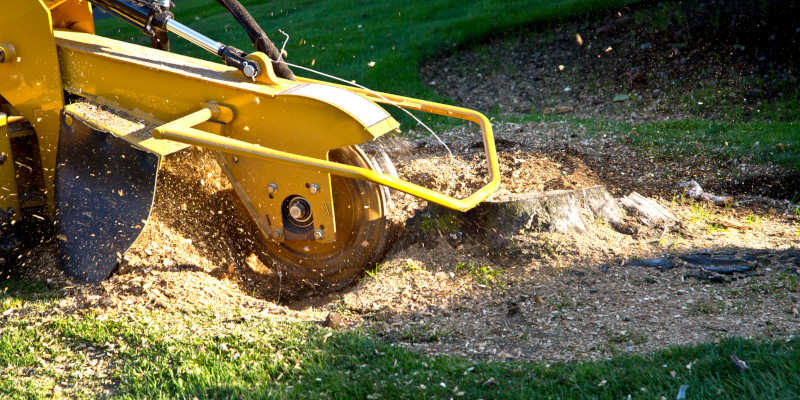Stump Grinding in Seymour, Tennessee