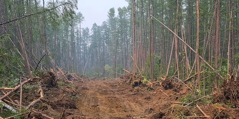 Efficient Land Clearing Helps You Achieve Your Goals Quicker 