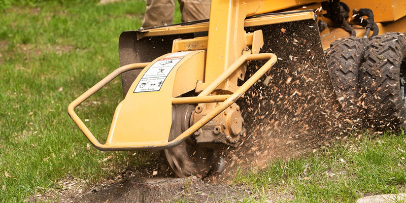 Stumped on Stump Removal? We’ve Got You Covered